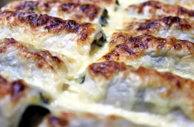 Canelons d'espinacs