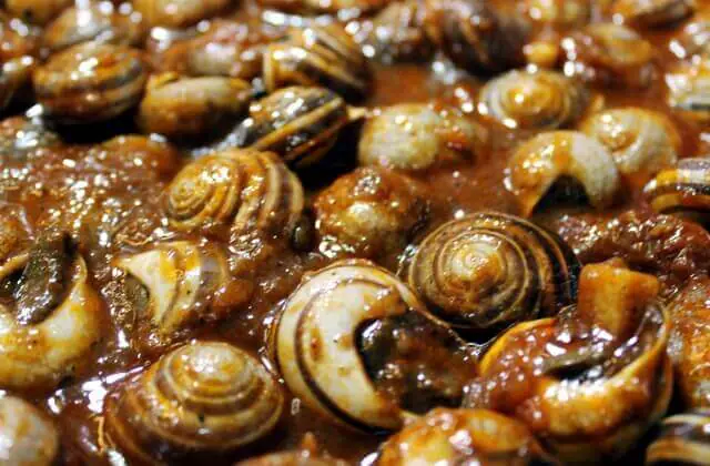 Cargols de terra amb xoriço i cansalada