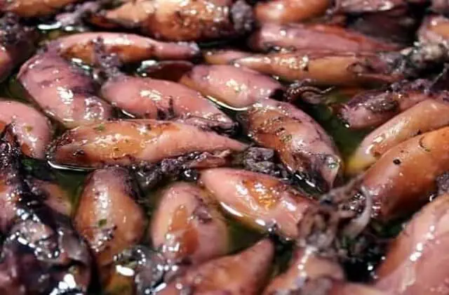 Calamars farcits