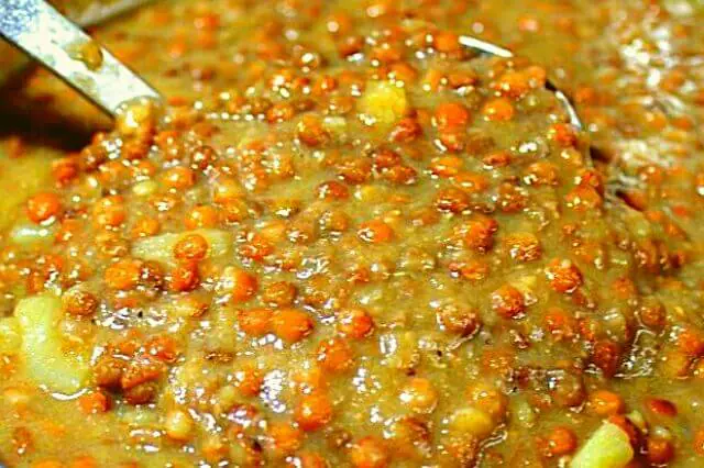 En el nostre menú trobaràs menjar sense gluten, vegetarià, per a celíacs i podem preparar per encàrrec menjar especial per a tu.